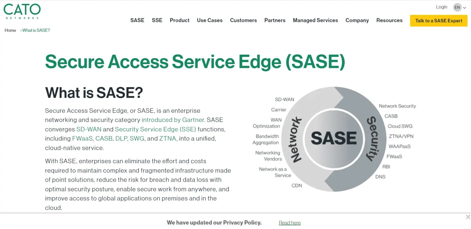 Best SASE Solutions
